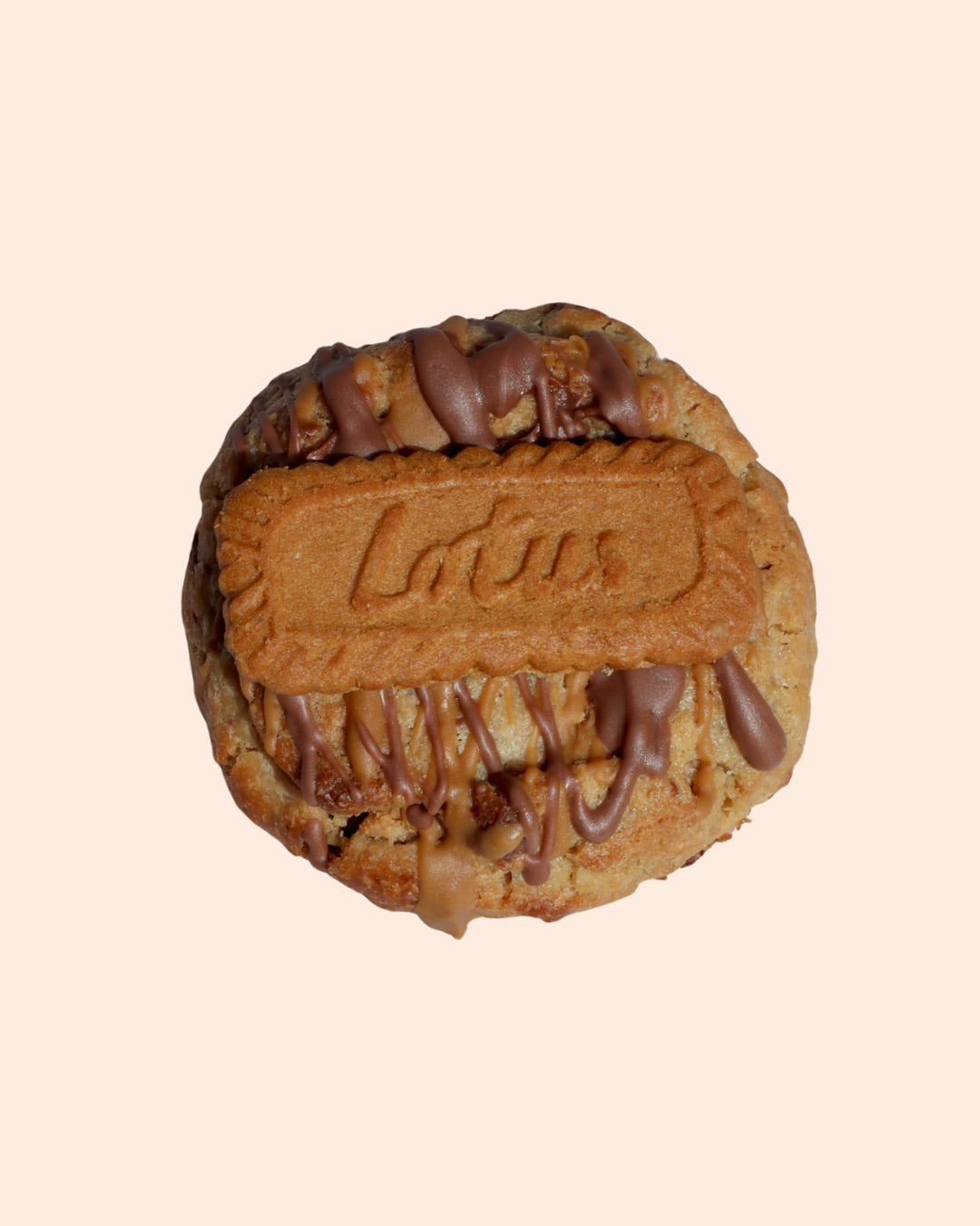 Biscoff & Choc Chip Chunky Filled Cookie