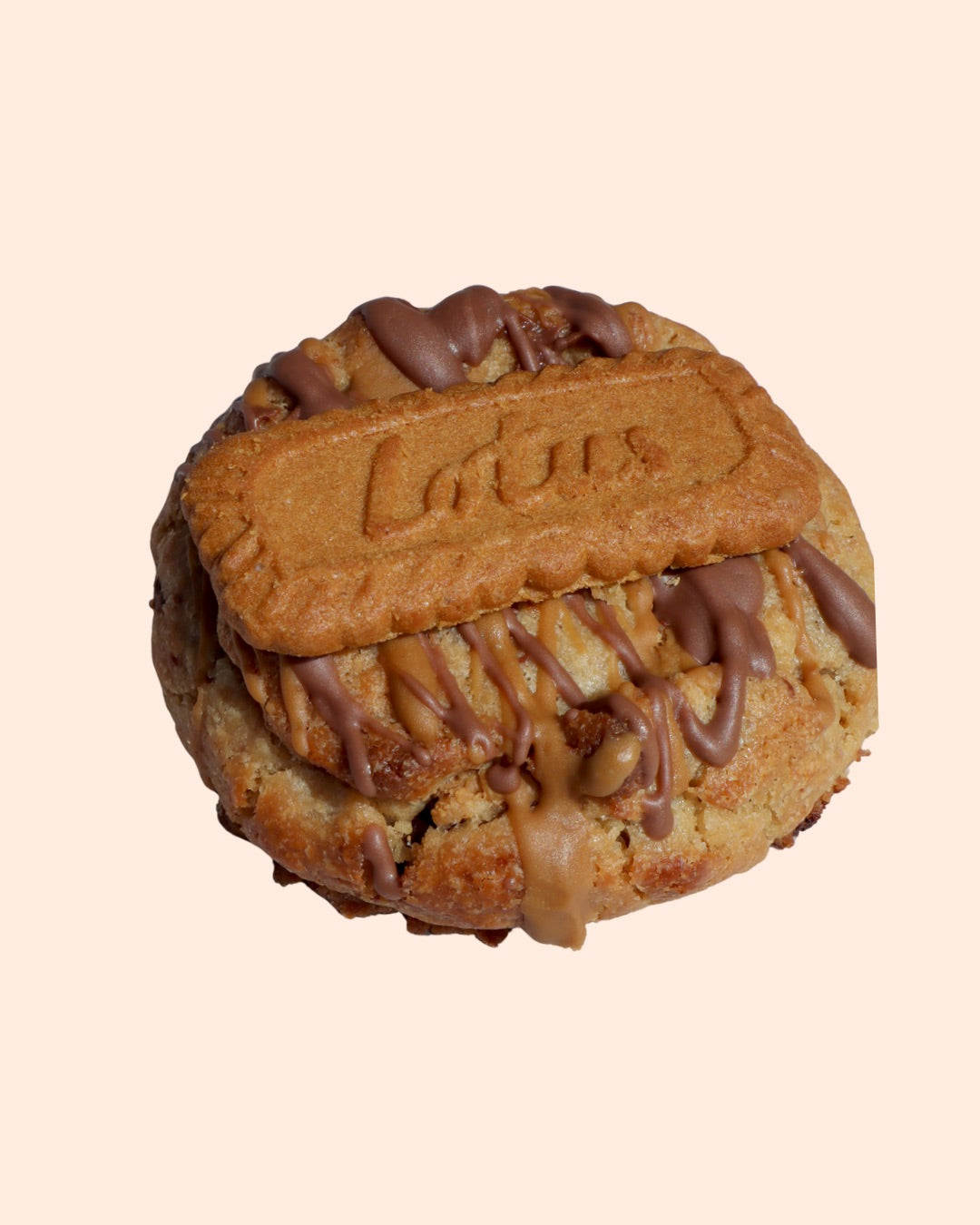 Biscoff & Choc Chip Chunky Filled Cookie